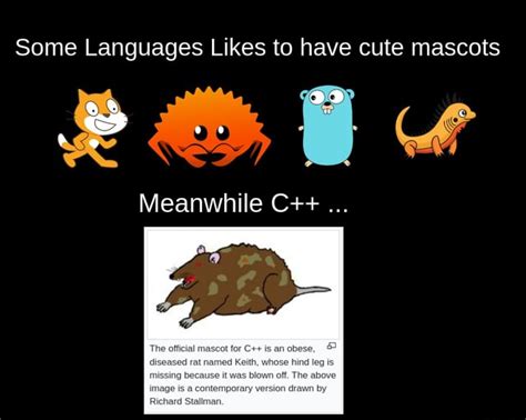 The Overemphasis on Vocabulary Mascots in Learning a New Language
